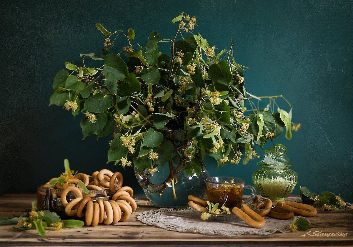 , Елизавета Шавардина