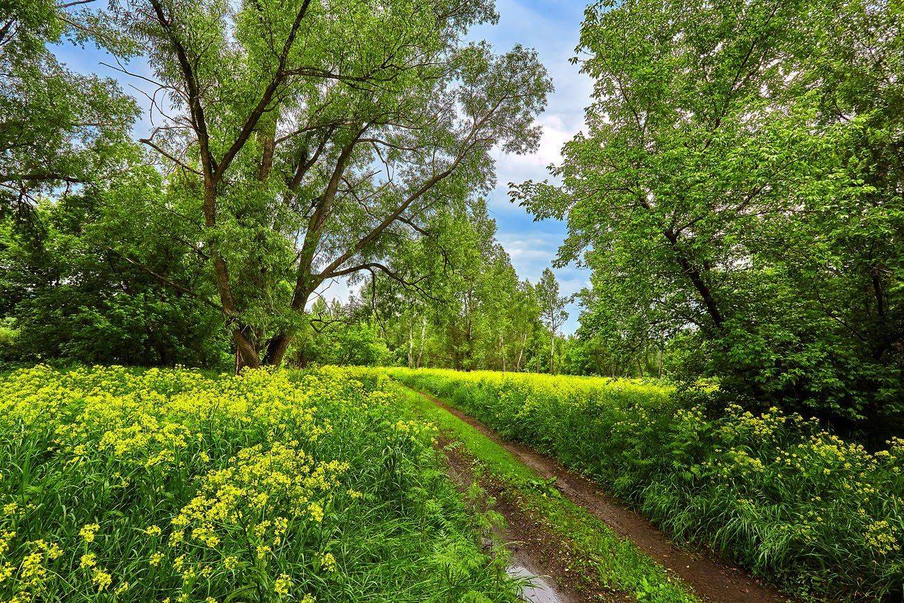Качурин, Качурин алексей, Кувандык, Лето 2015, Оренбург, Оренбургская область, Орск, Качурин Алексей