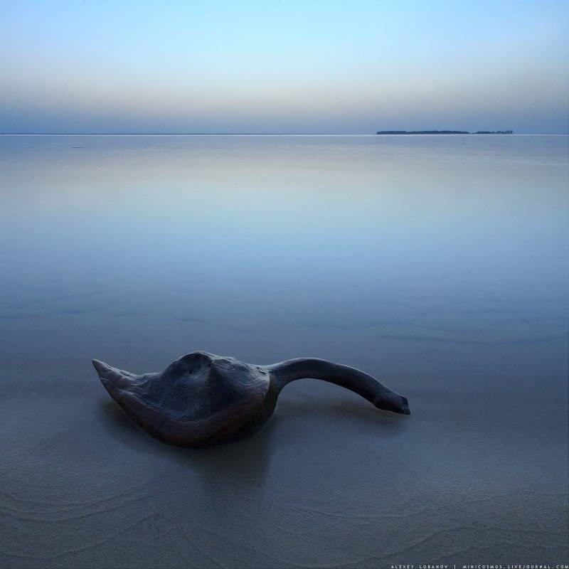 Рыбинка, Рыбинское, Ярославия, Ярославская область, Алексей Лобанов