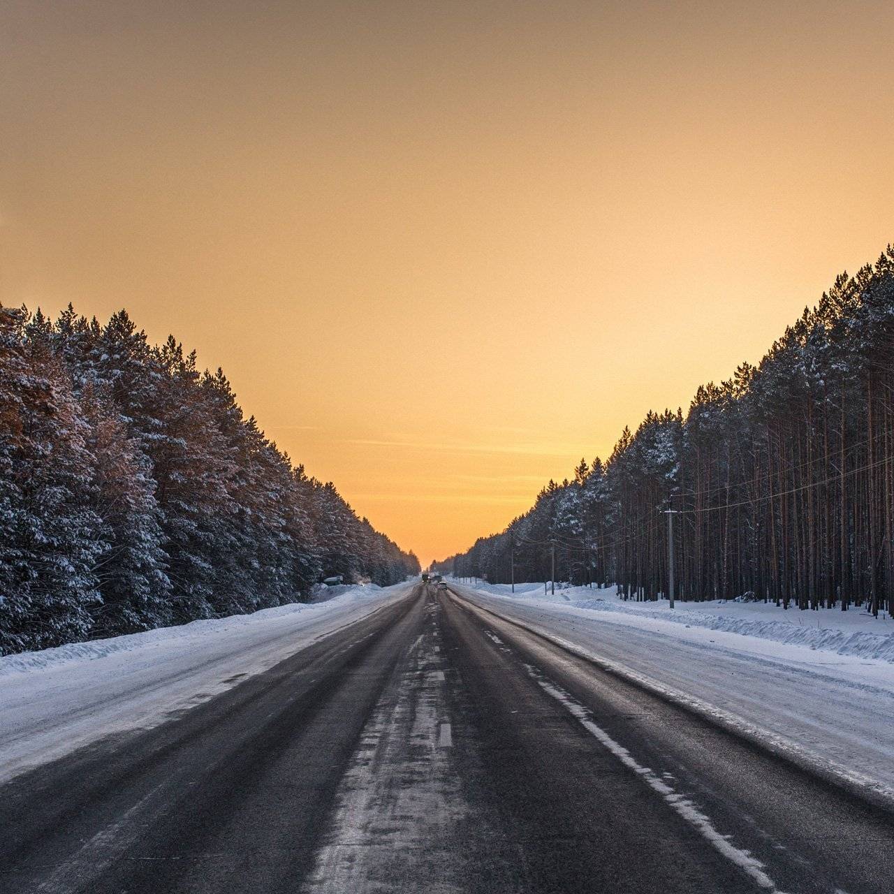 , Цвелёв Дмитрий