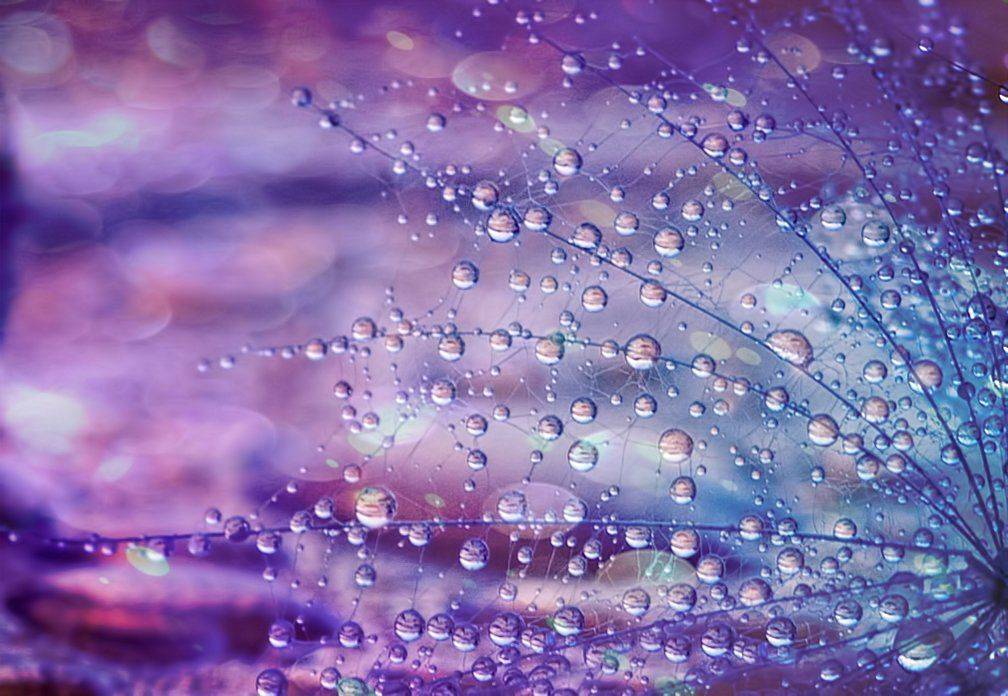 , Таня  Маркова