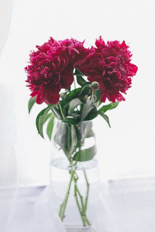 Алый фото превью