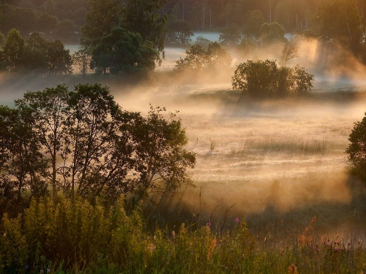 , Владимир Перепечаев