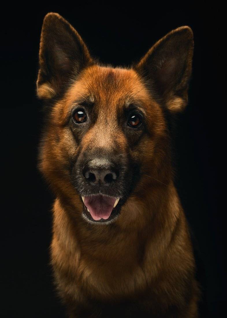 , Сергей Споялов