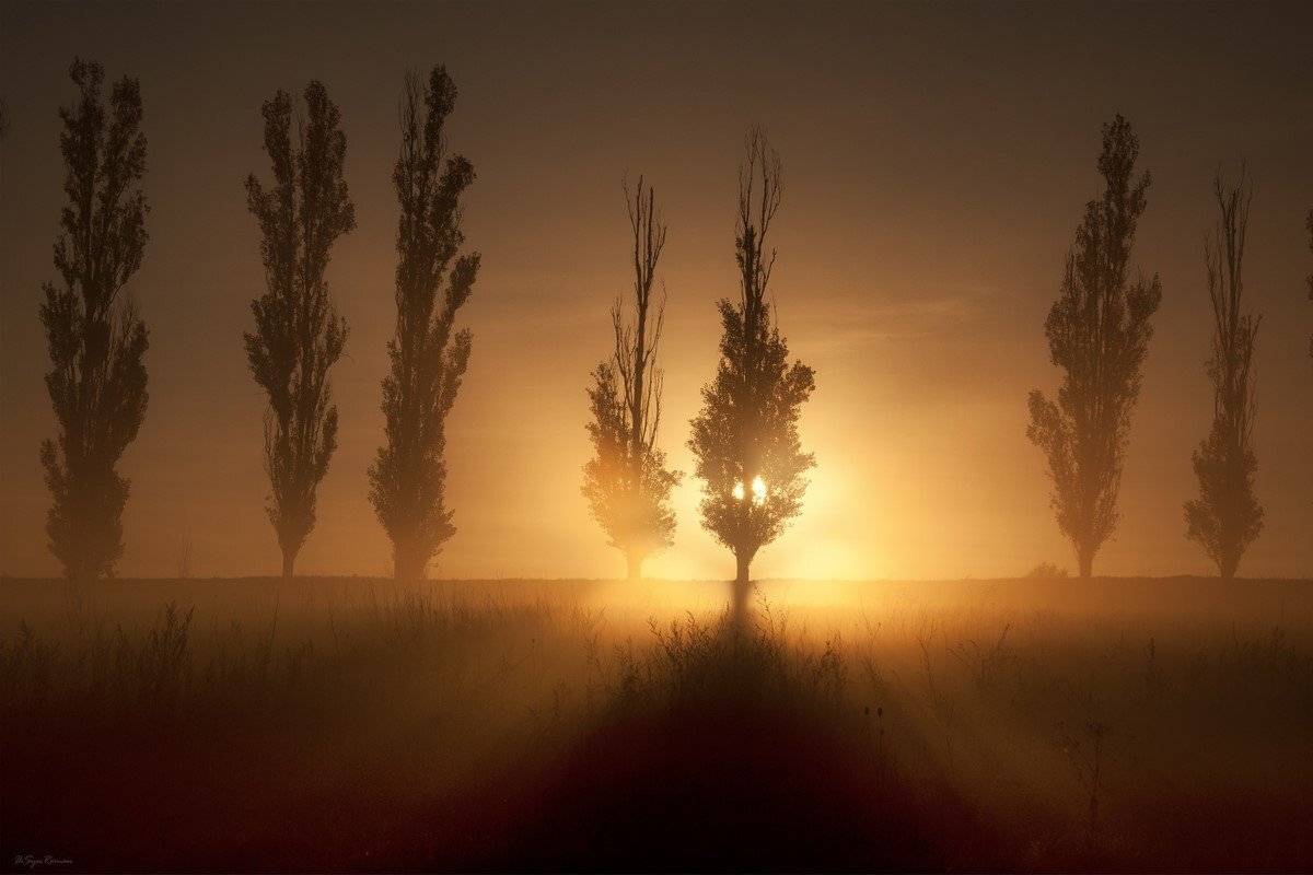 , Роман Красов