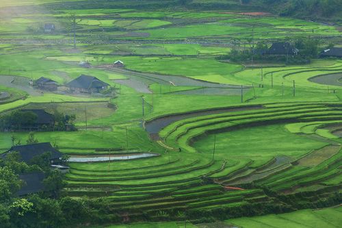 bản em