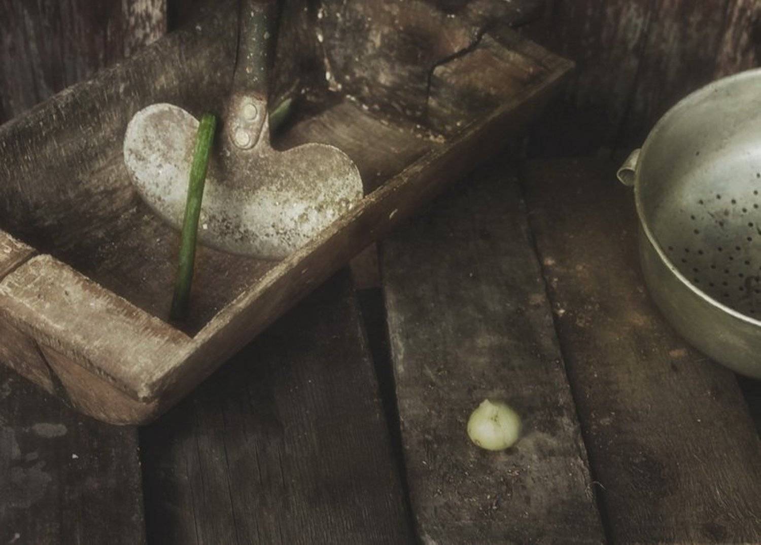 , Михаил Анисимов