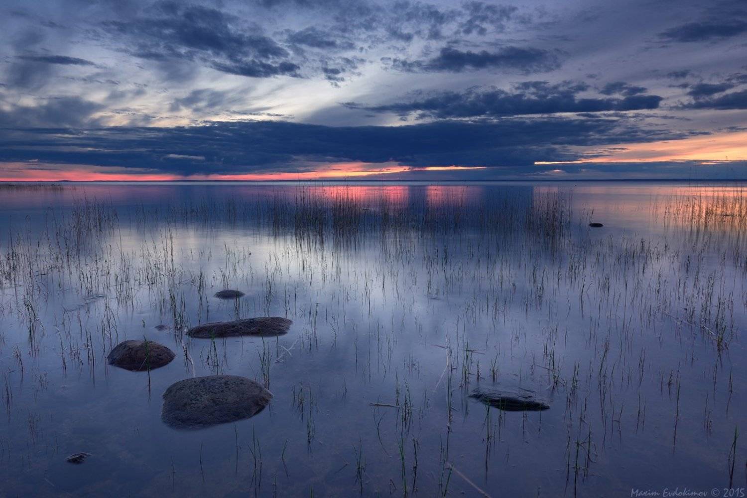 , Максим Евдокимов