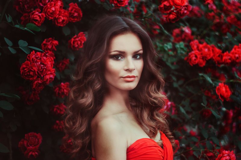 портфолио фото превью