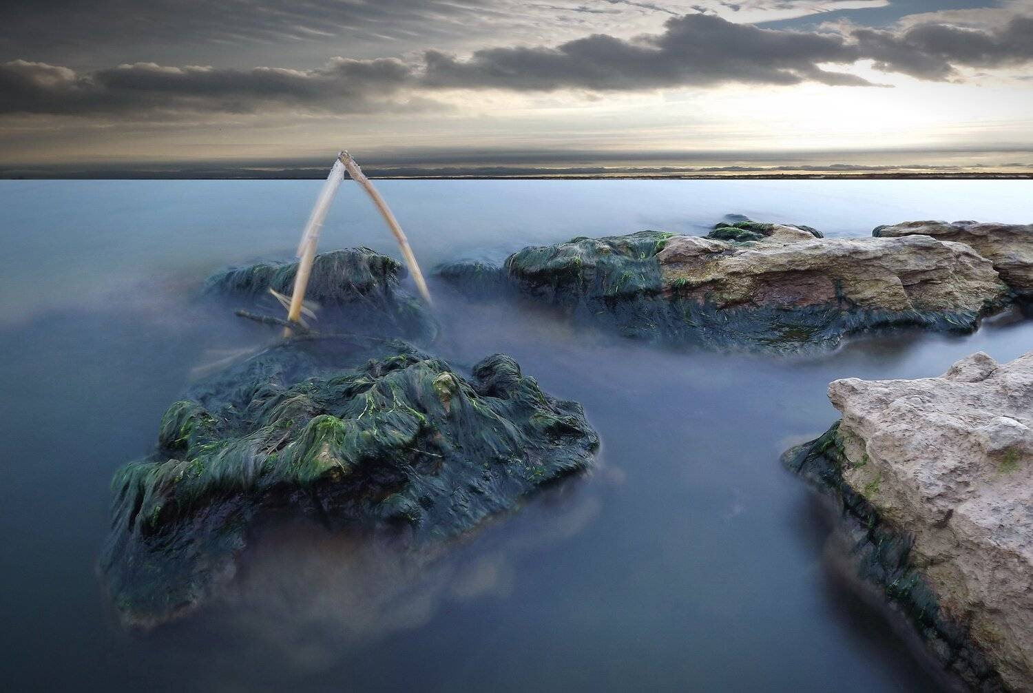 одесса, Сергей Кошелев