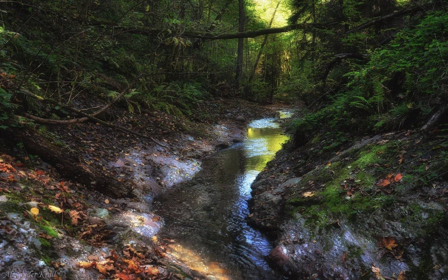 кавказ, кчр, Александр Круль