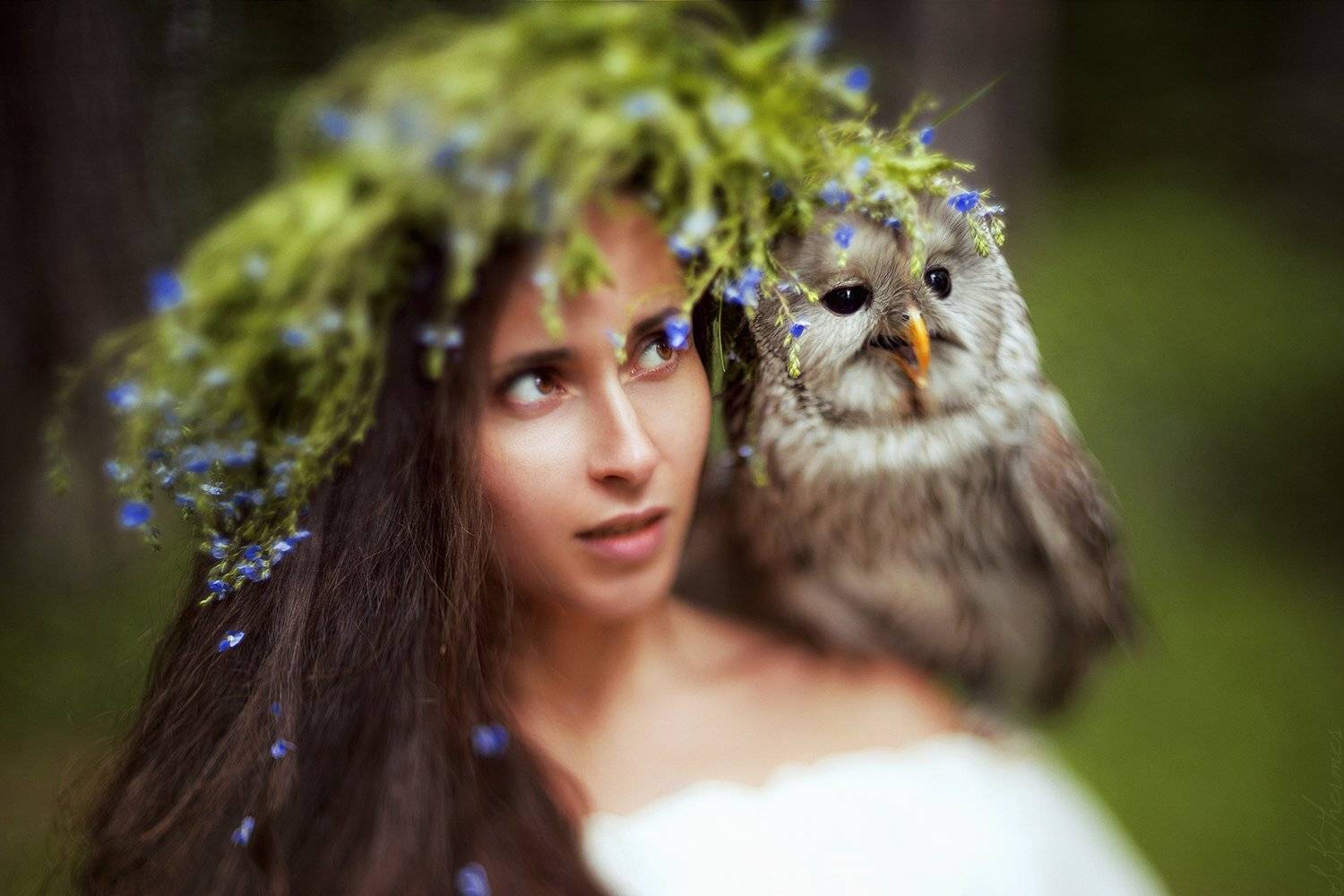 , София Катермес