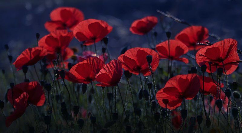 Поздний вечер. фото превью
