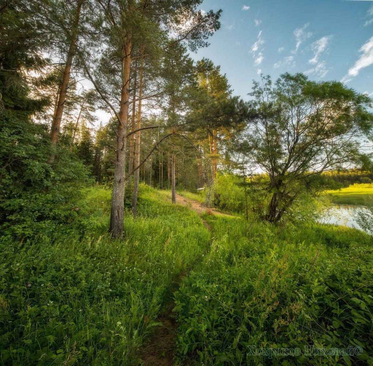 , Хохряков Николай