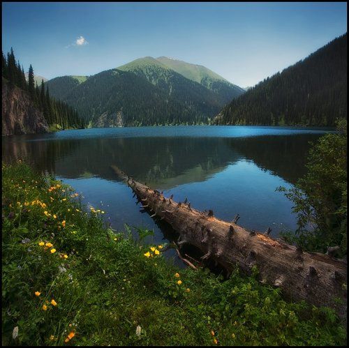 Кольсай