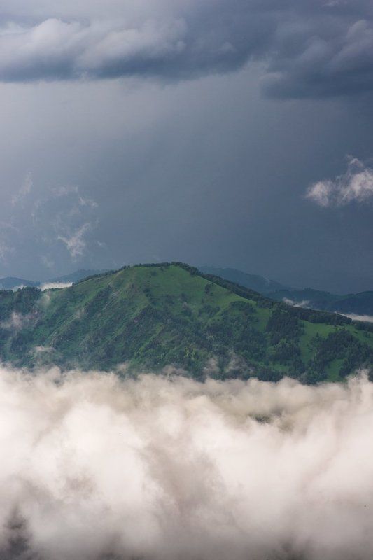 горы, алтай Горы над облаками фото превью