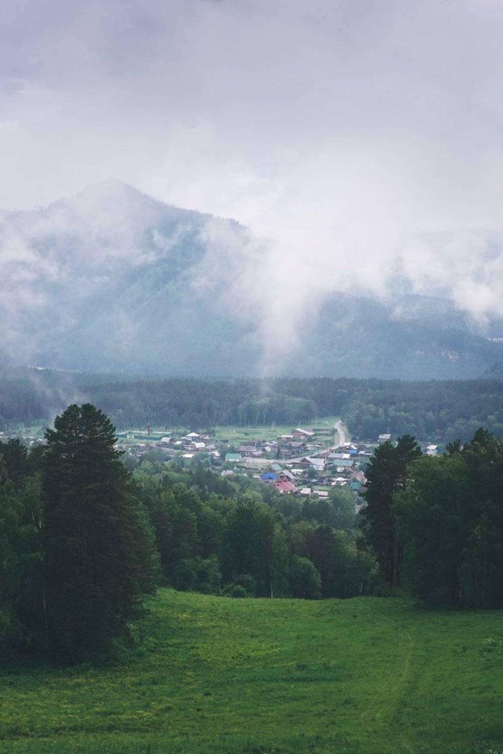 горный алтай, горы, лес, Наталья Леденева
