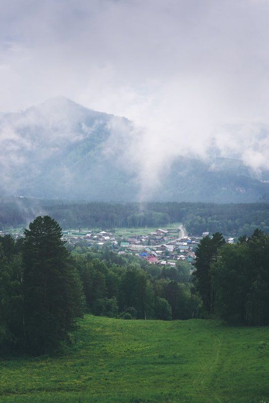 горный алтай, горы, лес Небо с молоком фото превью
