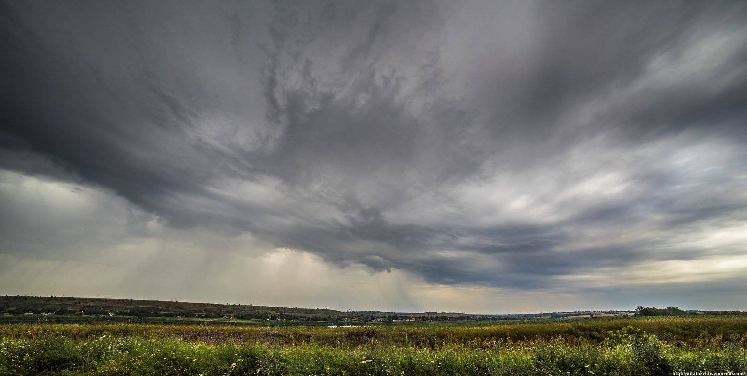 , Никита Сердечный