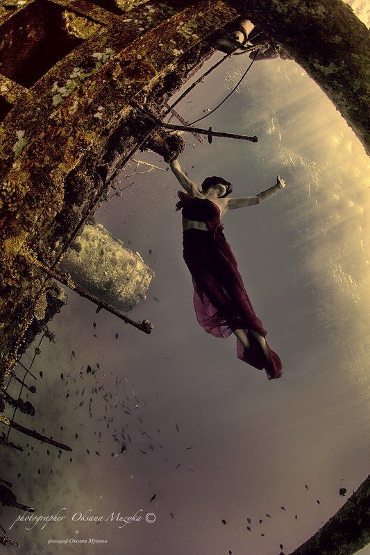 Стремление к свету из царства Нептуна. фото превью