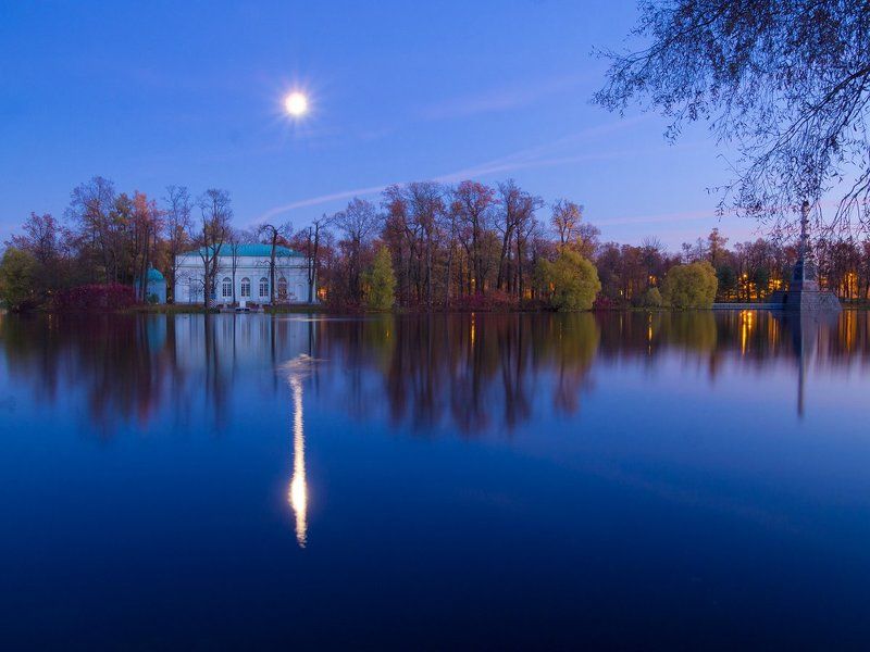 Ночь в парке. г.Пушкин фото превью