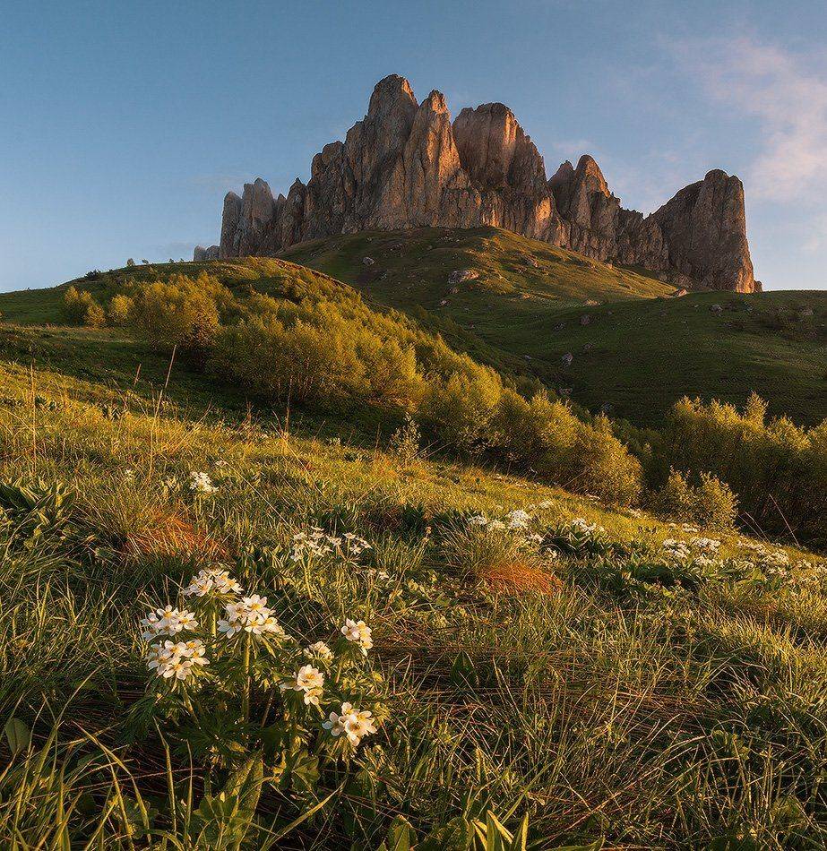 , Николай Мысливцев