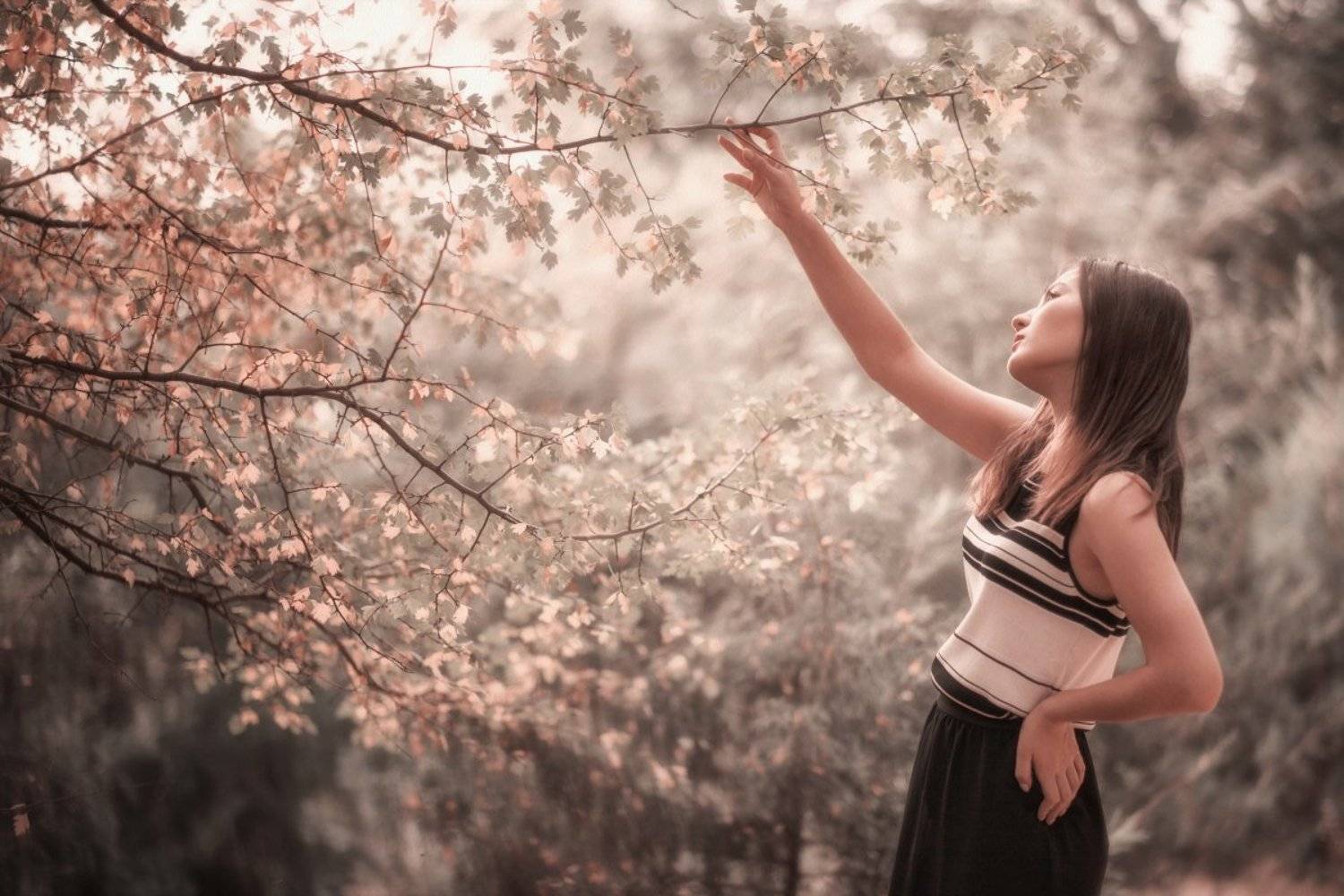 , Евгений Сергеев