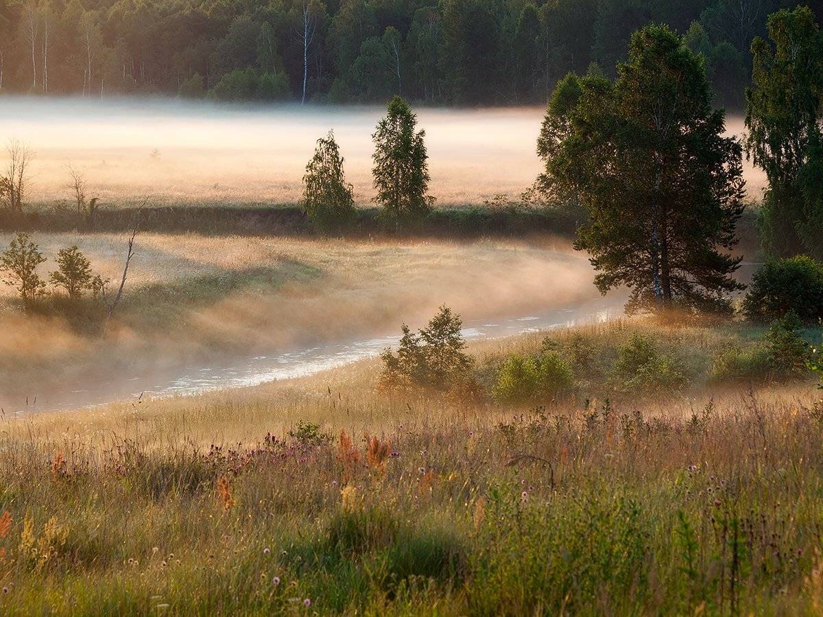 , Владимир Перепечаев
