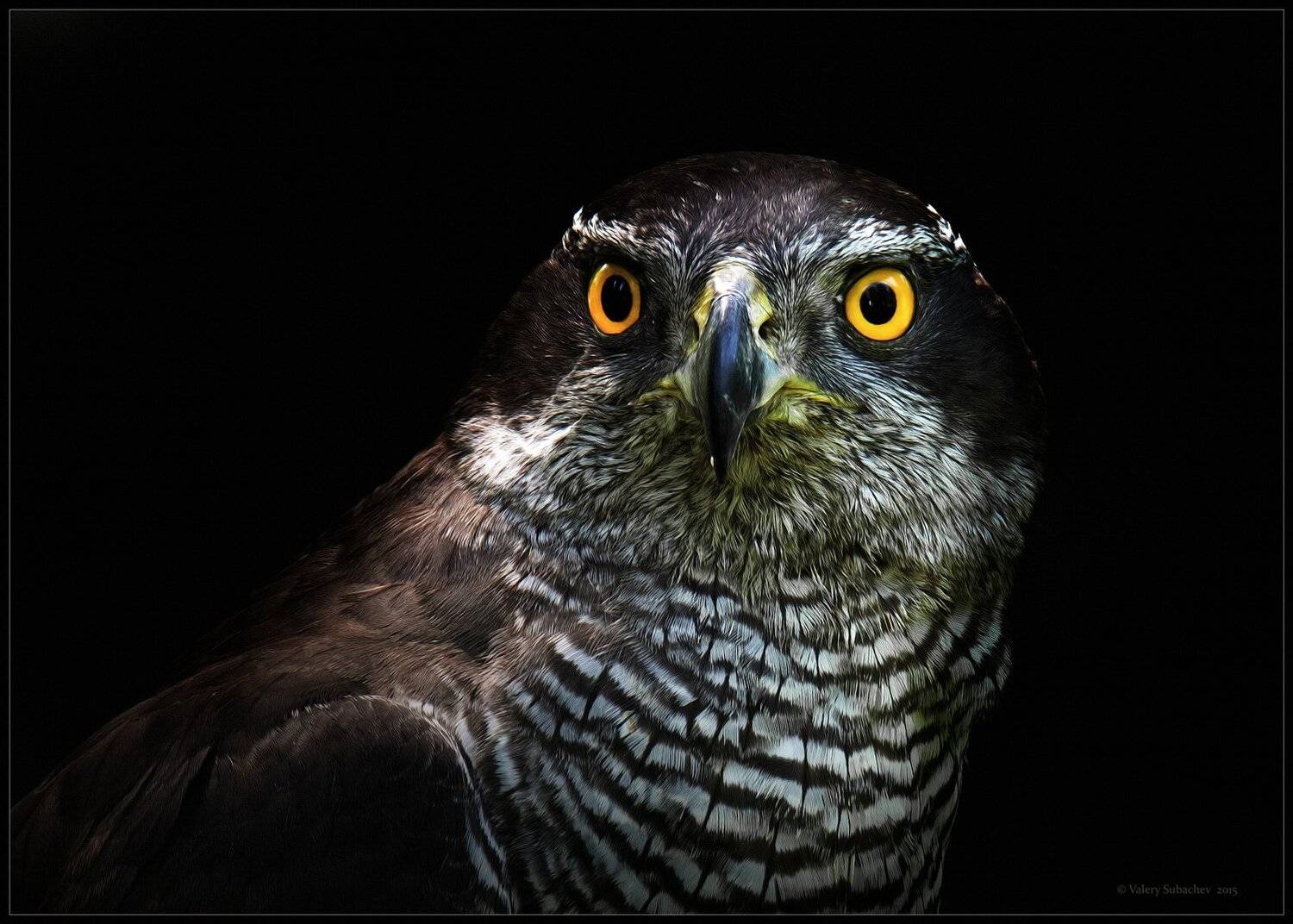 , Валерий Субачев