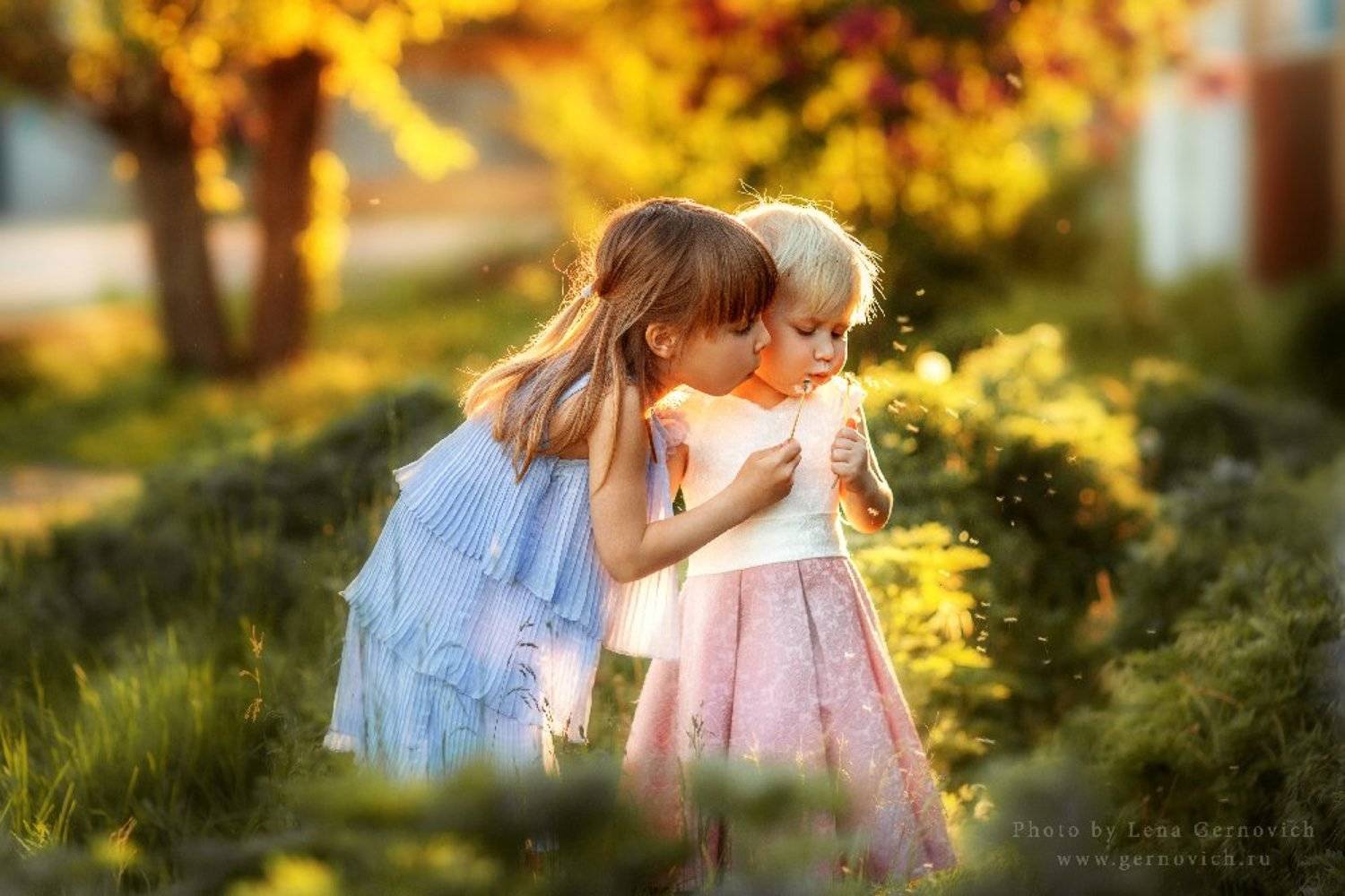 , Елена Гернович