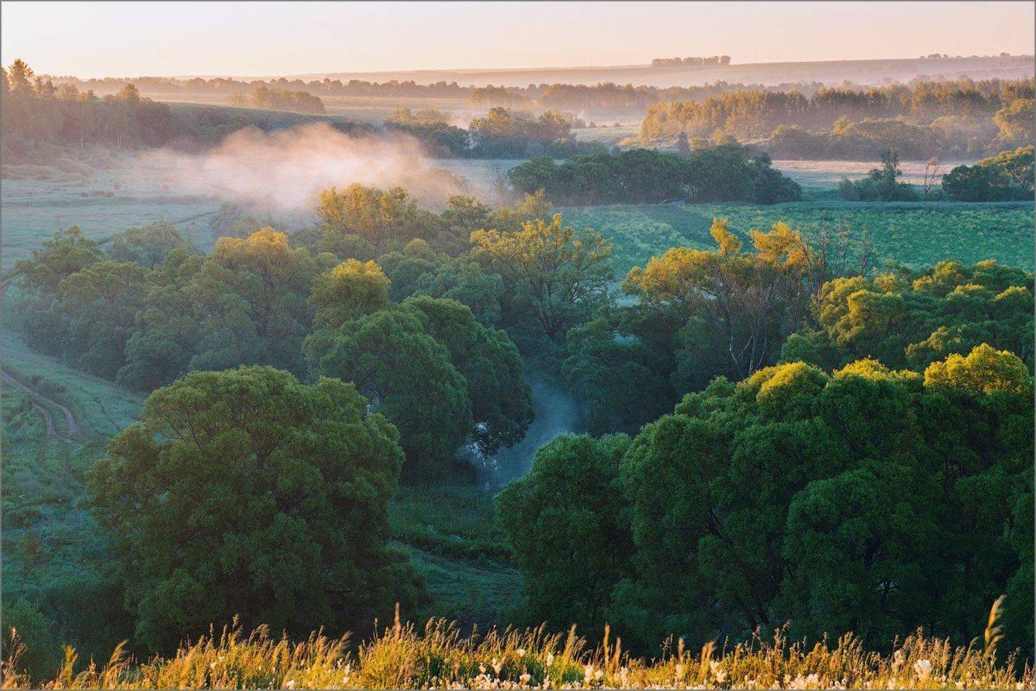 landscape, nature, russia, fog, morning, Elena Petrova