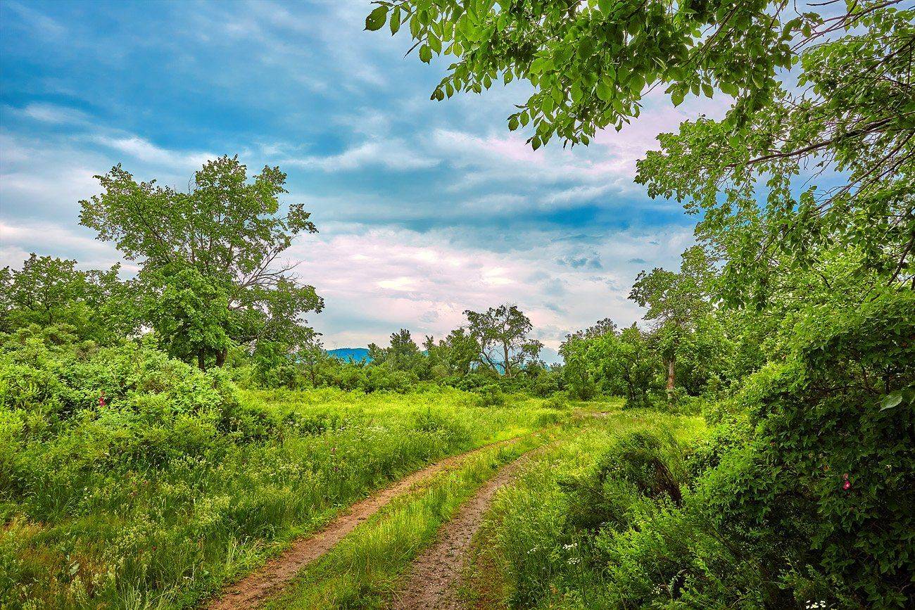 , Качурин Алексей