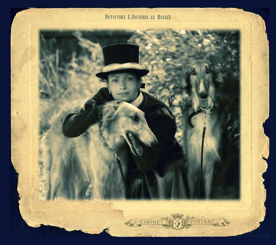 , Виктор Перякин