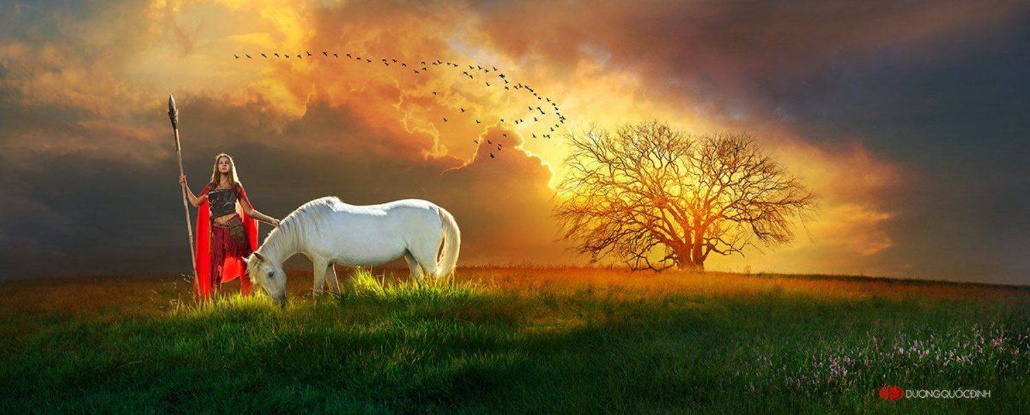 DARI. Автор: duong quoc dinh , duong quoc dinh