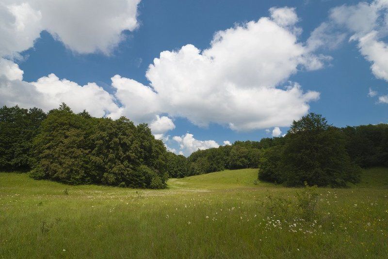 Июль... фото превью