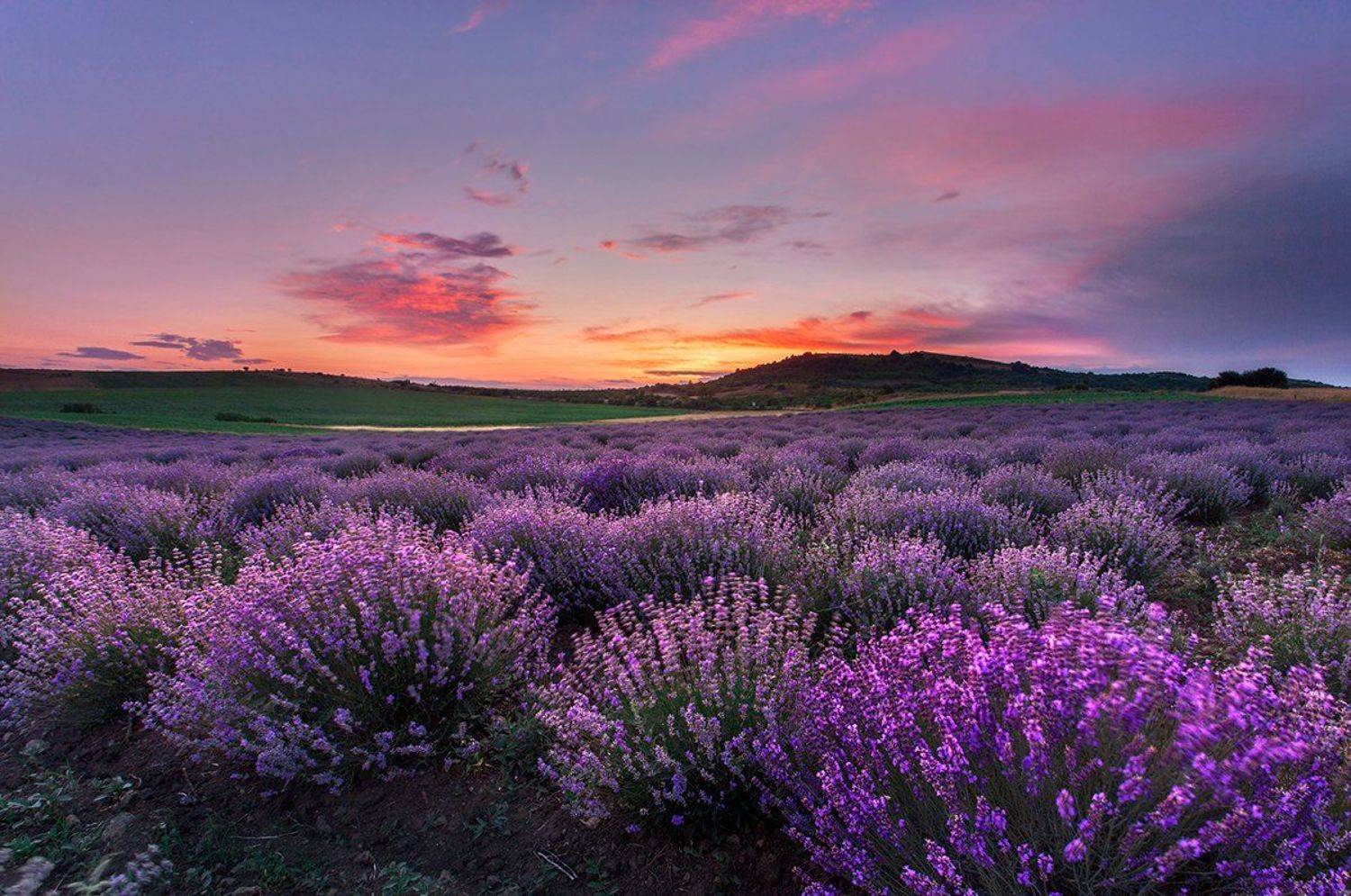 болгария, закат, , Павел Пронин