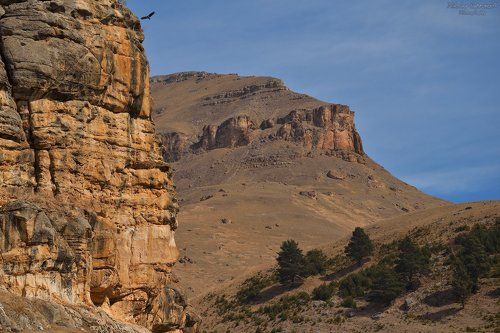 Там, где летают большие птицы