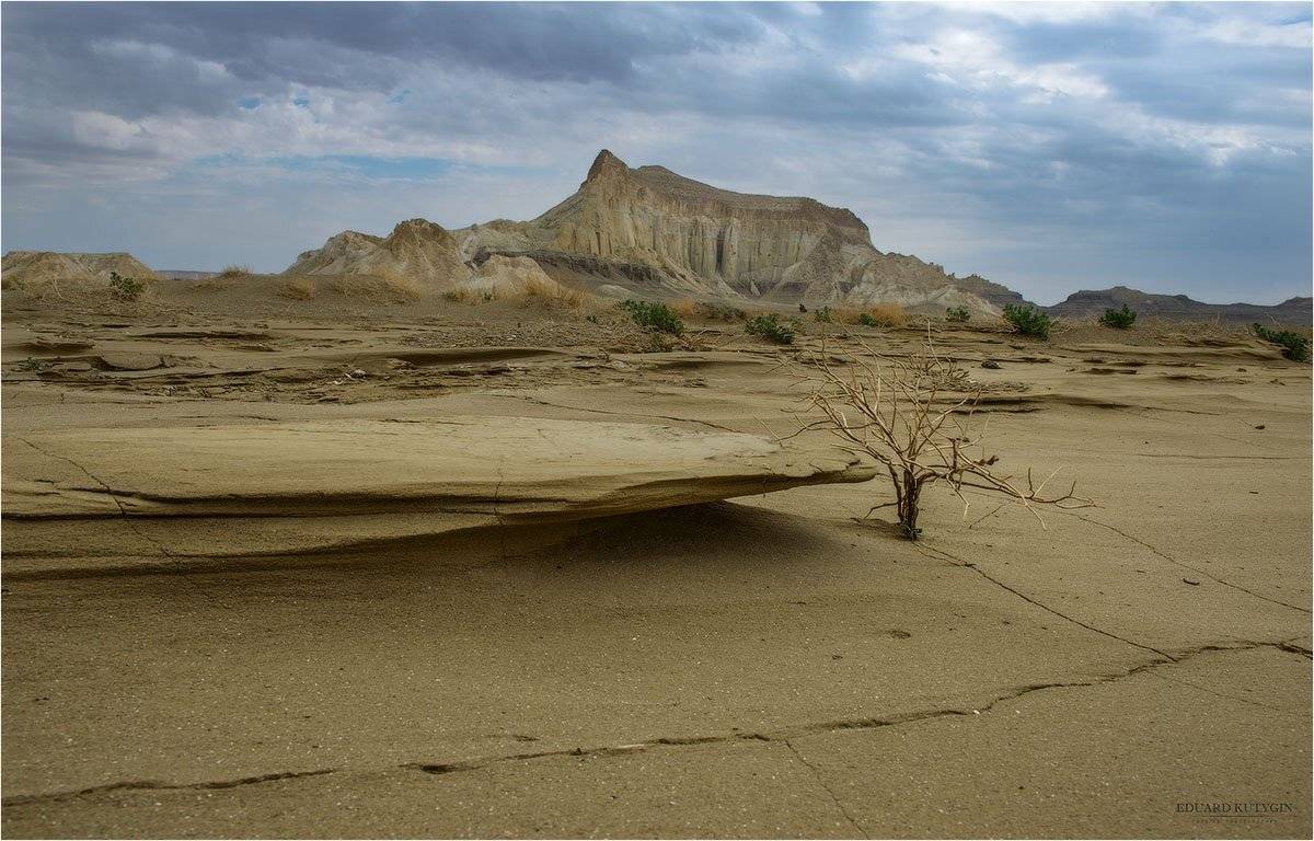 , Кутыгин Эдуард