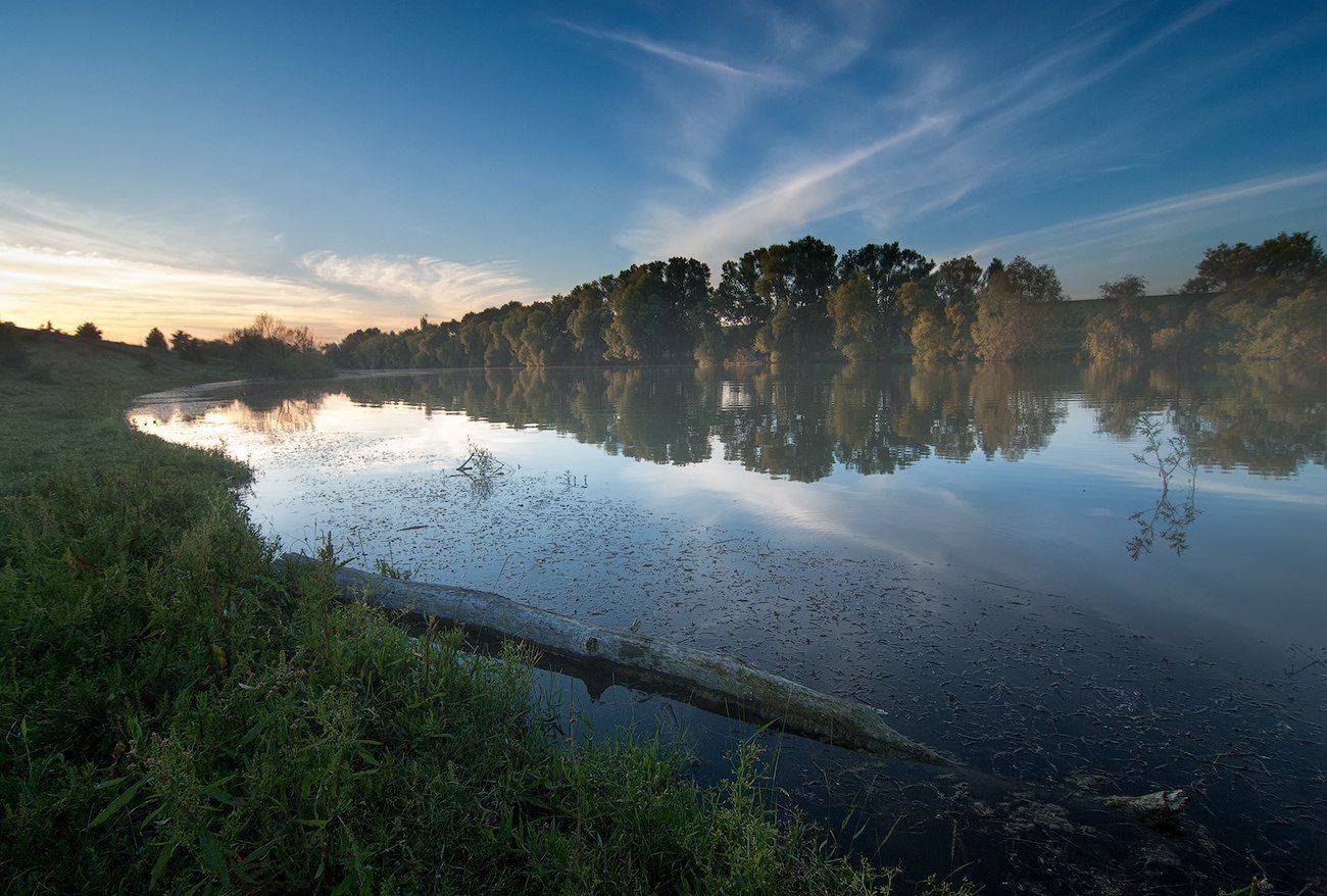 Вечер, Лето, Пруд, flyman