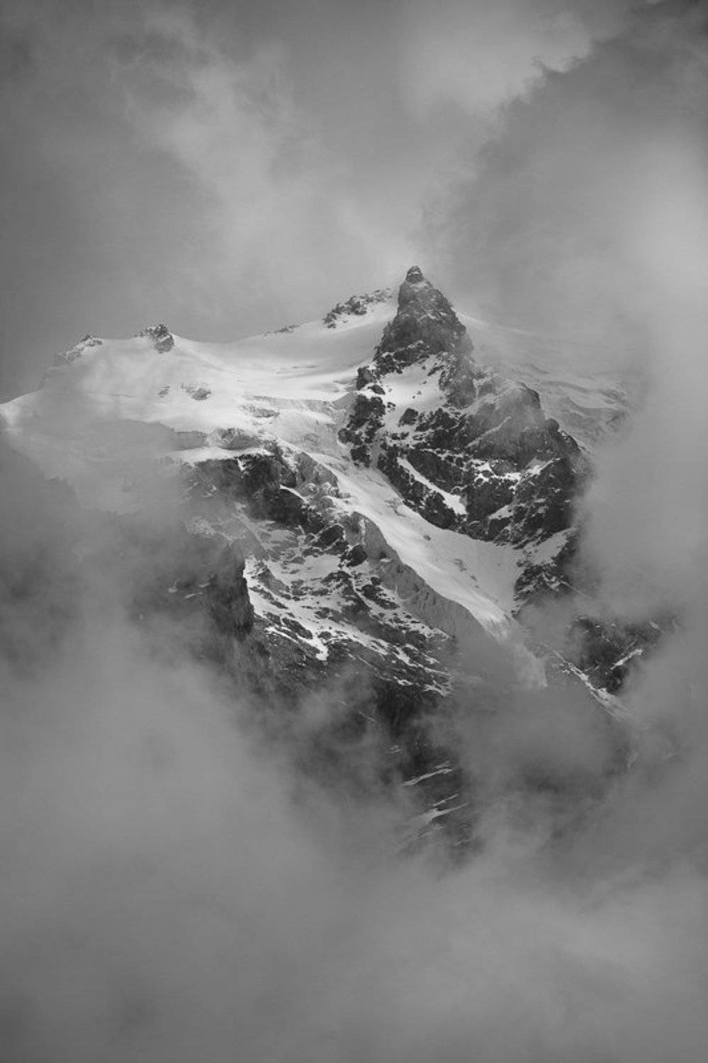 , Шарапов Сергей