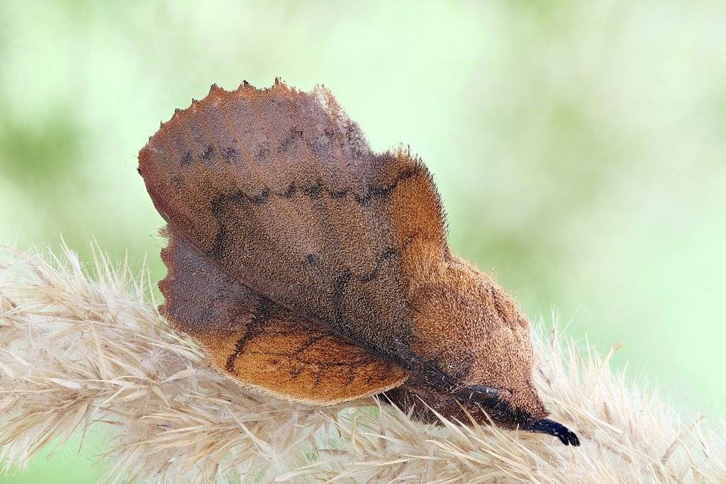 , Сергей Таланов