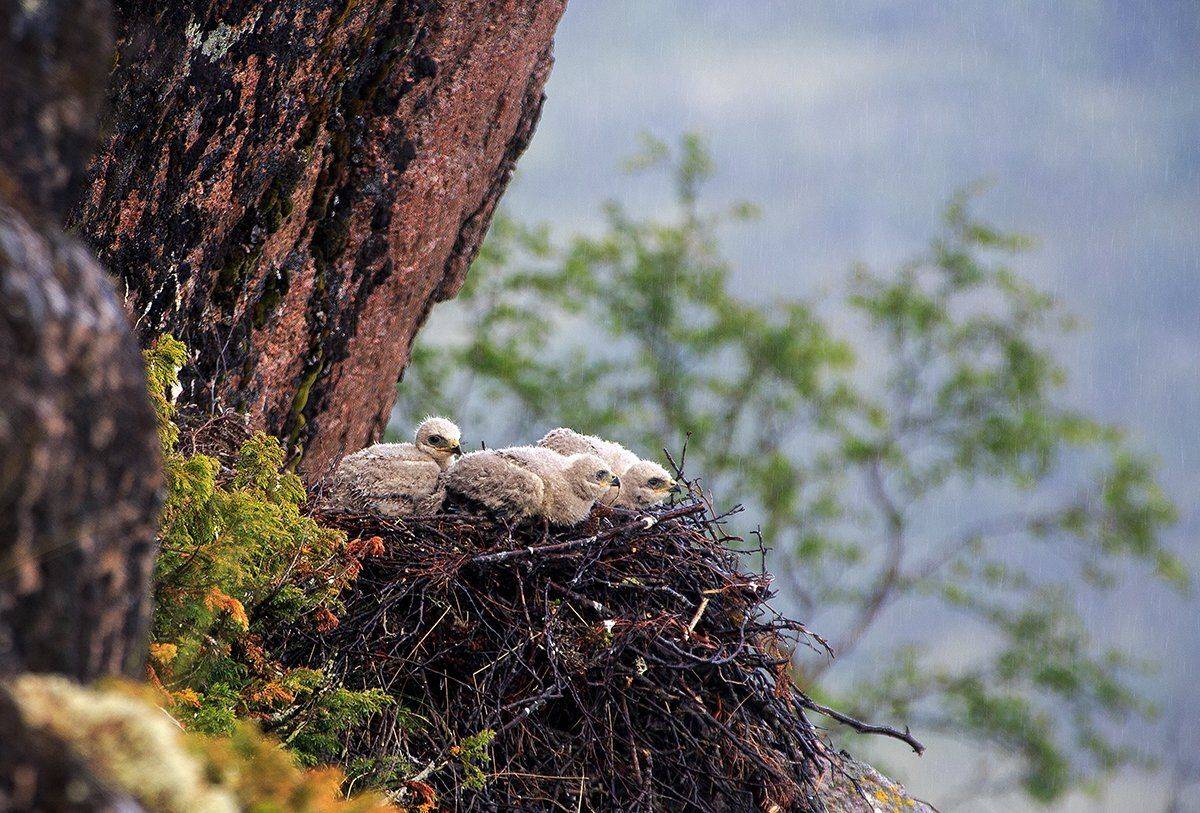 , Валерийб Валерий