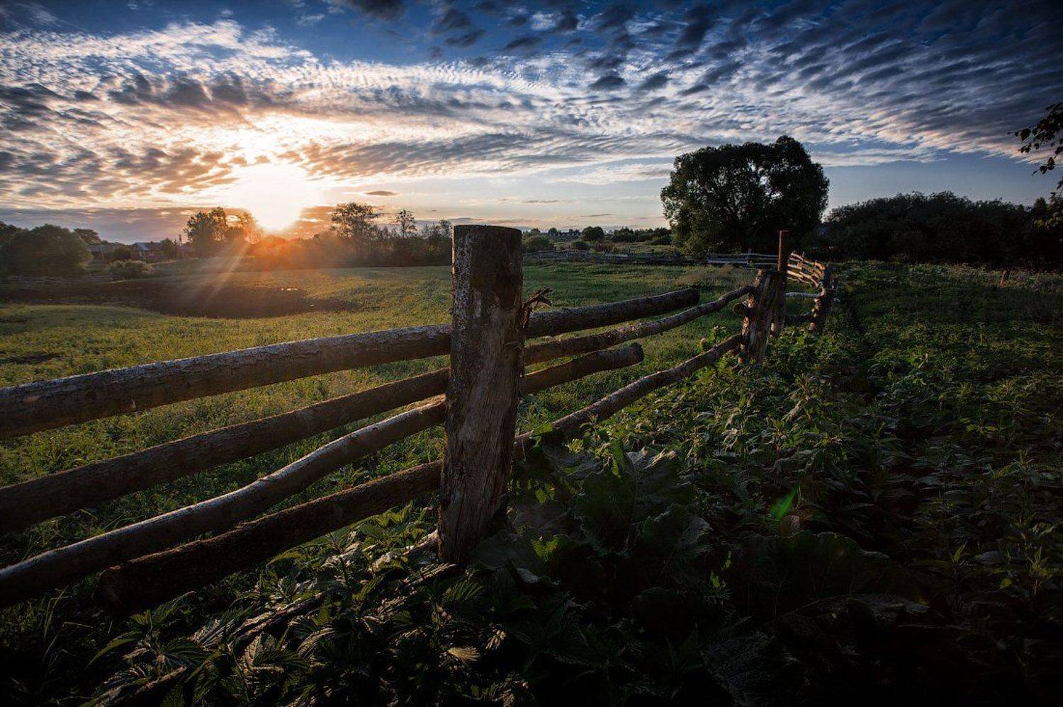 восход забор деревня утро, Александр Авилов