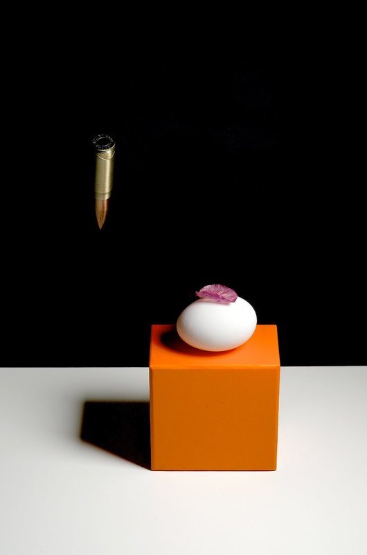 conceptual, still, life Трансгуманизм фото превью