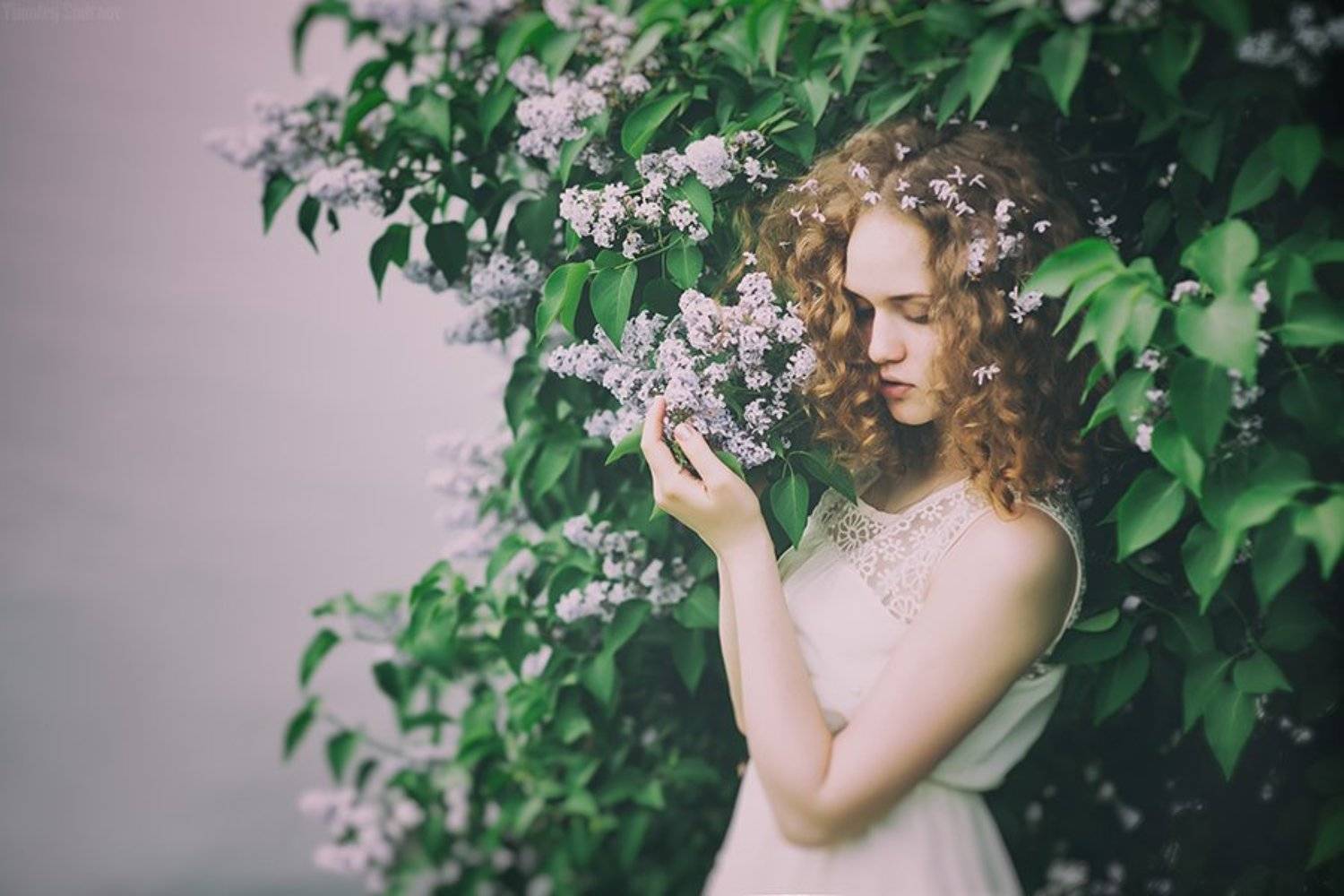 , Тимофей Смирнов