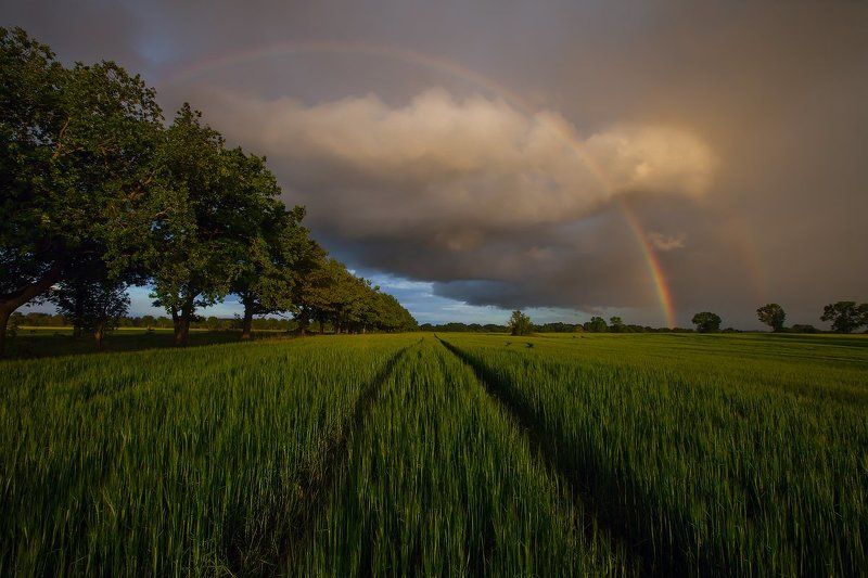 Somewhere over the Rainbow