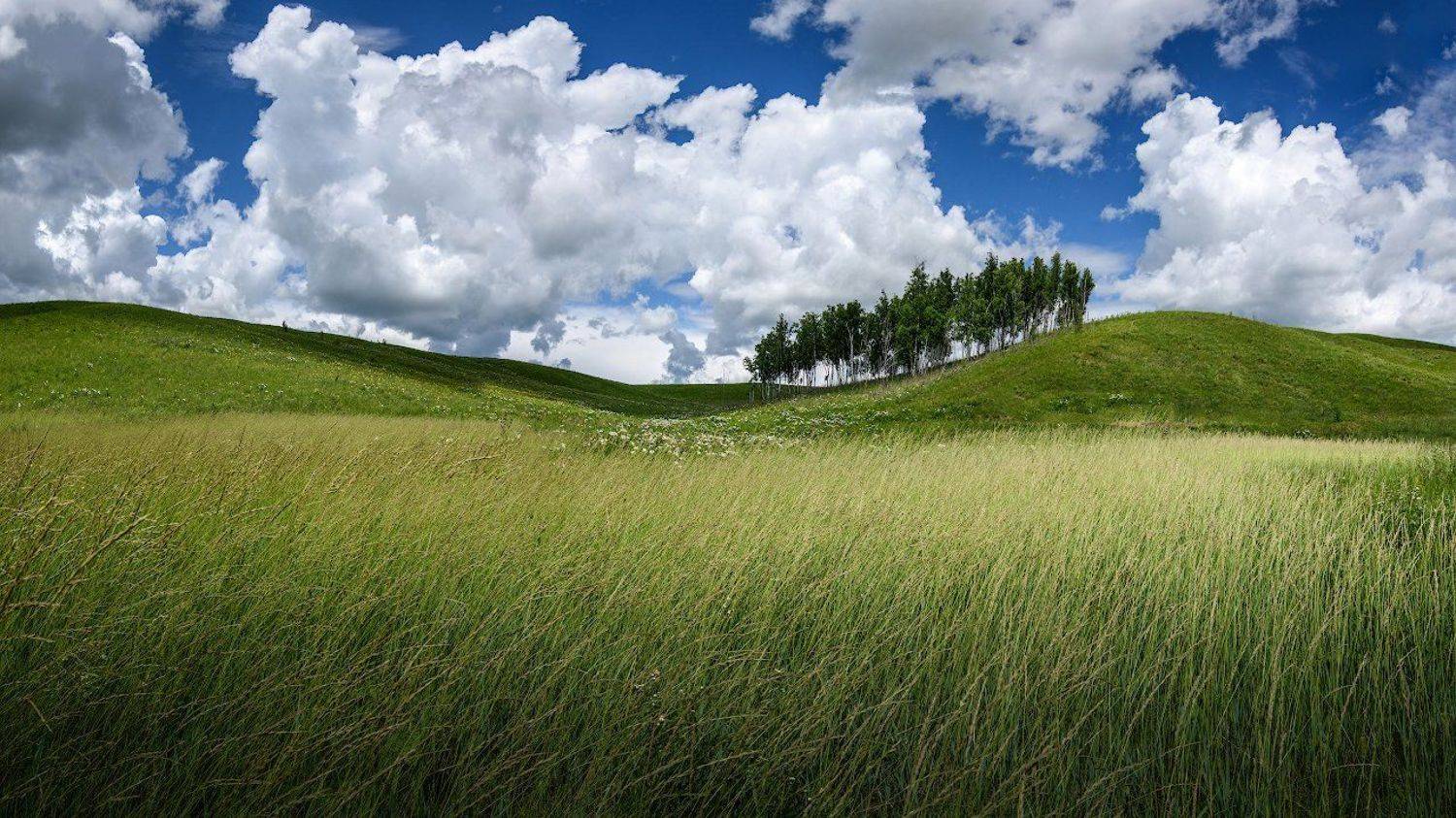 , Дмитрий Демидчик