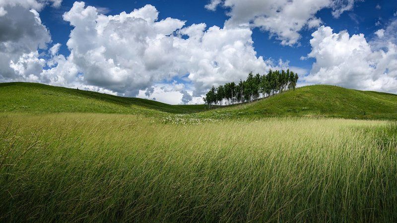 Все на гору! фото превью