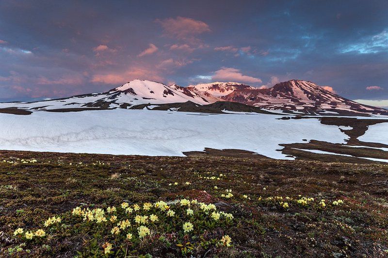 Середина лета фото превью
