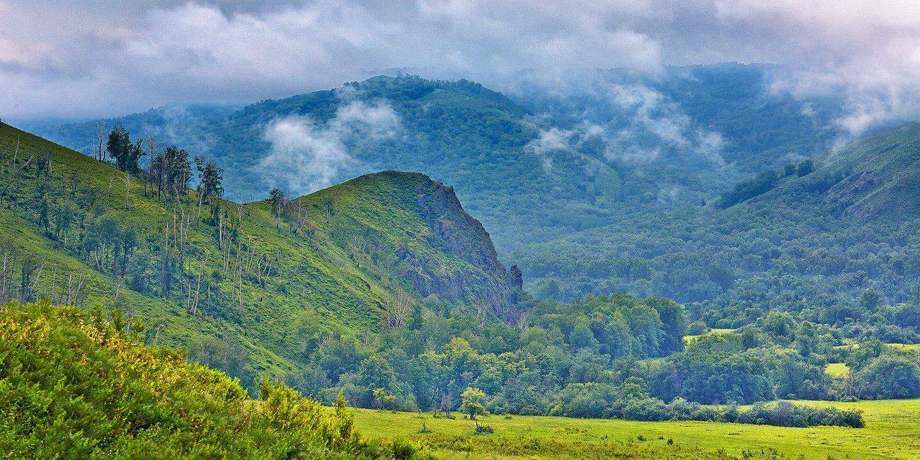 Качурин, Качурин алексей, Оренбургская область, Орск, Качурин Алексей